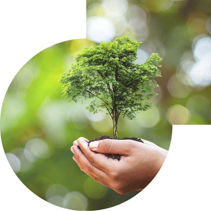 關懷人類、文化、環境與社會